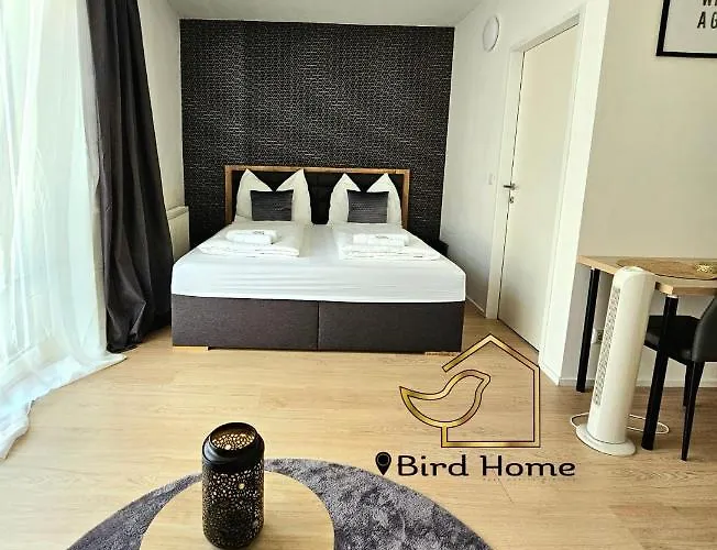 Bird Home Room 9